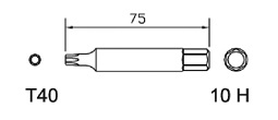 Special bit T40 x 75mm, 10H