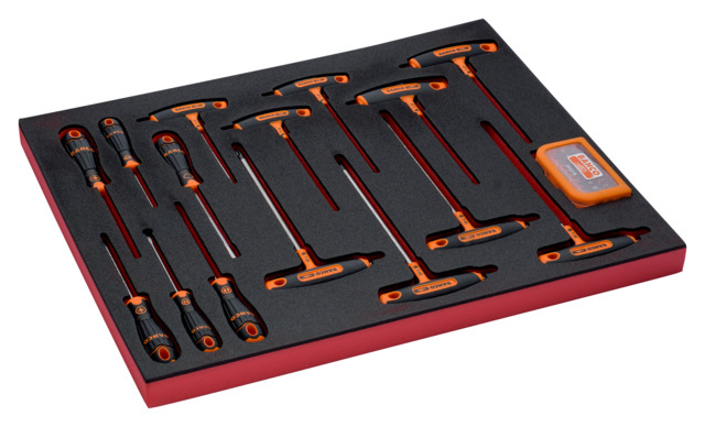 Screwdrivers, T-handle screwdrivers and bit set in foam 45 pcs